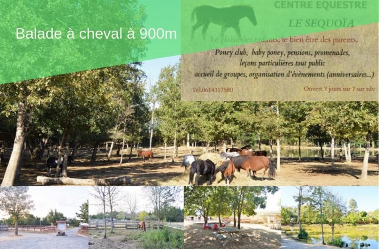 Peyrole Le Grand Cottage Nature Piscine Chauffee Privee Du Tarn Entre Toulouse Et Albi & Les Cottages Du Tarn מראה חיצוני תמונה